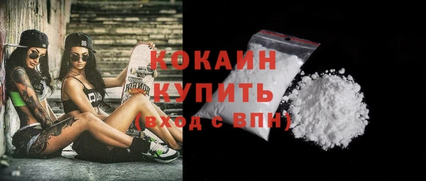 прущие грибы Кукмор