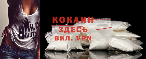 прущие грибы Кукмор