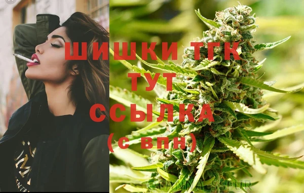 PSILOCYBIN Алексеевка