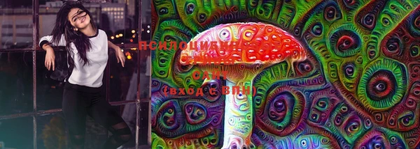 PSILOCYBIN Алексеевка