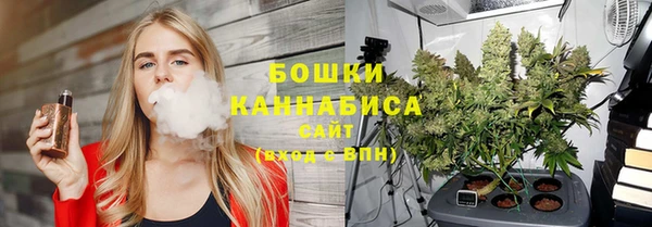ПСИЛОЦИБИНОВЫЕ ГРИБЫ Алзамай