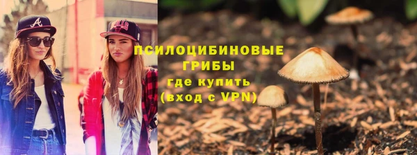 ПСИЛОЦИБИНОВЫЕ ГРИБЫ Алзамай